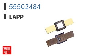 55502484