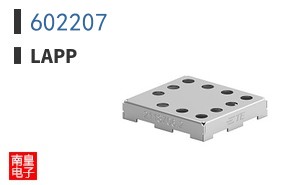 602207