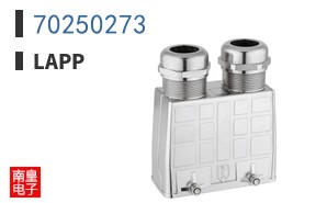 70250273