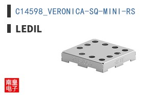C14598_VERONICA-SQ-MINI-RS