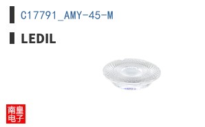 C17791_AMY-45-M