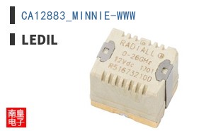 CA12883_MINNIE-WWW