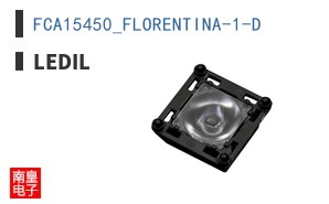 FCA15450_FLORENTINA-1-D