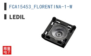 FCA15453_FLORENTINA-1-W
