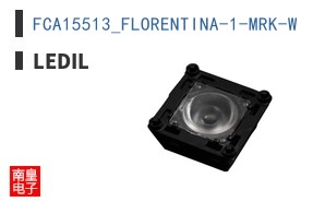 FCA15513_FLORENTINA-1-MRK-W
