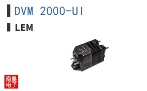 DVM 2000-UI