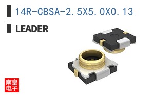 14R-CBSA-2.5X5.0X0.13