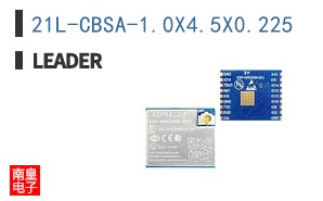 21L-CBSA-1.0X4.5X0.225