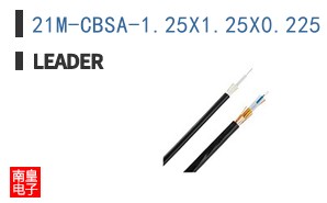 21M-CBSA-1.25X1.25X0.225