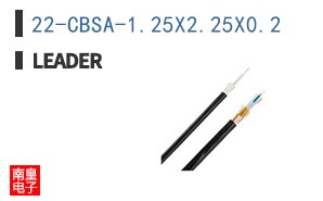 22-CBSA-1.25X2.25X0.2