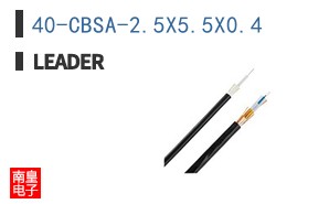 40-CBSA-2.5X5.5X0.4
