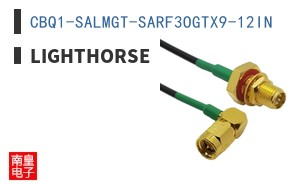 CBQ1-SALMGT-SARF3OGTX9-12IN