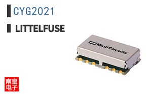 CYG2021