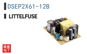 DSEP2X61-12B