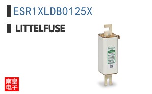 ESR1XLDB0125X