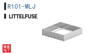 R101-MLJ