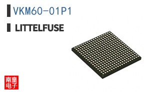 VKM60-01P1