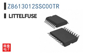 Z8613012SSC00TR