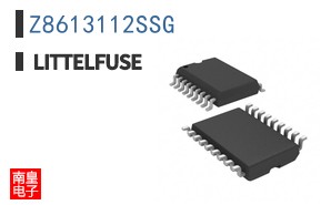 Z8613112SSG