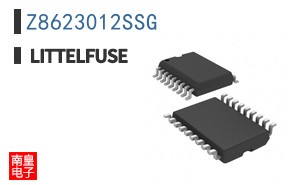 Z8623012SSG