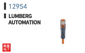 12954