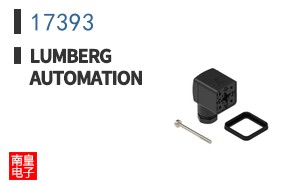 17393