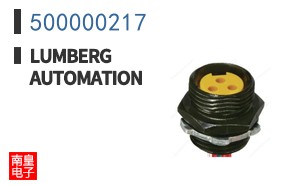 500000217
