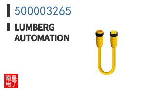 500003265