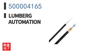 500004165