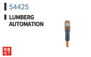54425