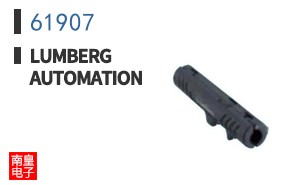 61907