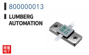800000013