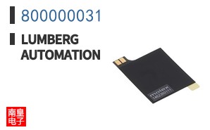 800000031