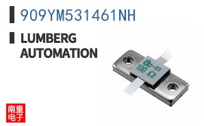 909YM531461NH