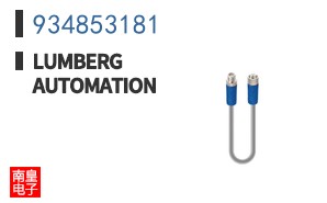 934853181