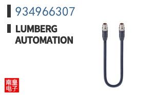 934966307
