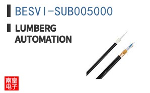 BESVI-SUB005000