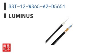 SST-12-WS65-A2-D5651