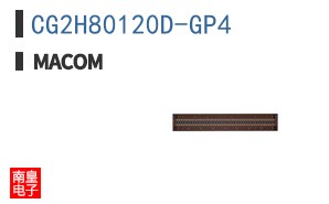 CG2H80120D-GP4