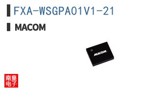 FXA-WSGPA01V1-21