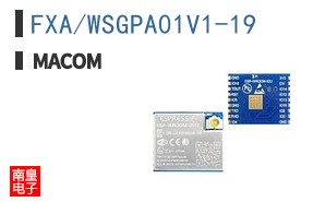 FXA/WSGPA01V1-19