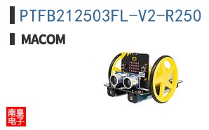 PTFB212503FL-V2-R250