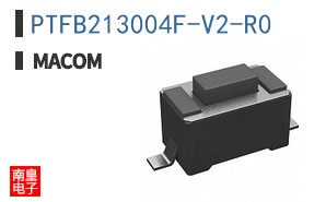 PTFB213004F-V2-R0