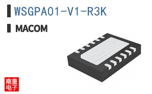 WSGPA01-V1-R3K
