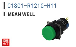 C1S01-R121G-H11