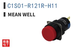 C1S01-R121R-H11