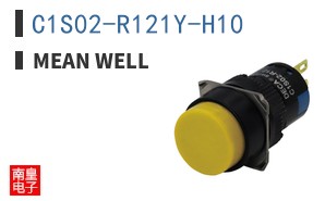 C1S02-R121Y-H10