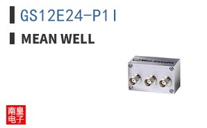 GS12E24-P1I