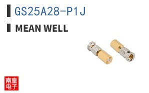 GS25A28-P1J