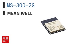 MS-300-2G